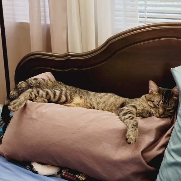 ☮️ Amber Marie ✌️ Poshmark Ambassador 👊 - Picture 13 of 16